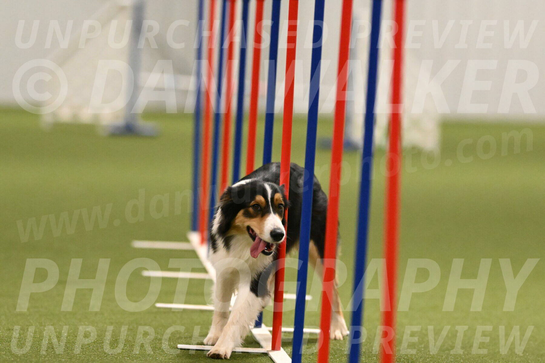 Lovey-Dovey-Yvette-Shipman-06700