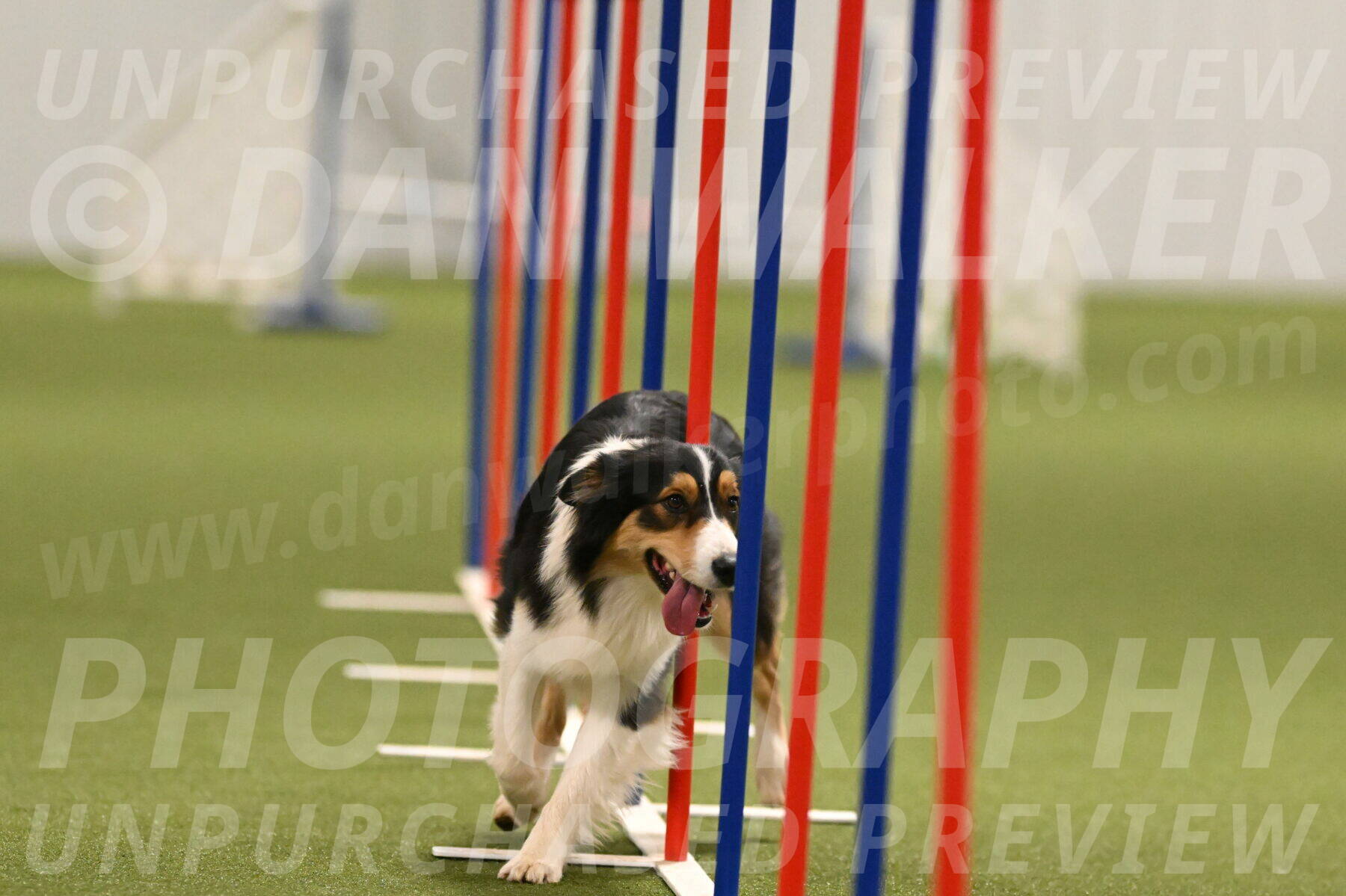 Lovey-Dovey-Yvette-Shipman-06701