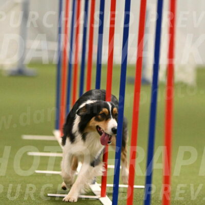 Lovey-Dovey-Yvette-Shipman-06701