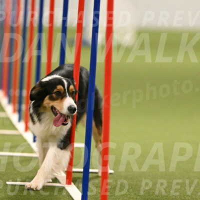 Lovey-Dovey-Yvette-Shipman-06702