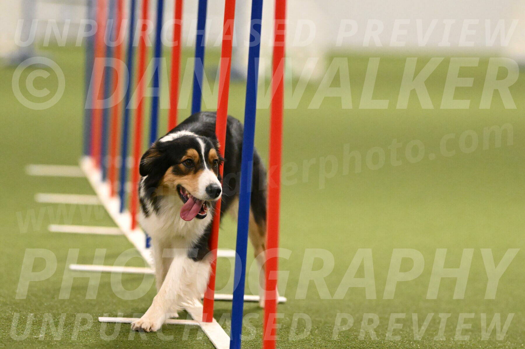 Lovey-Dovey-Yvette-Shipman-06702