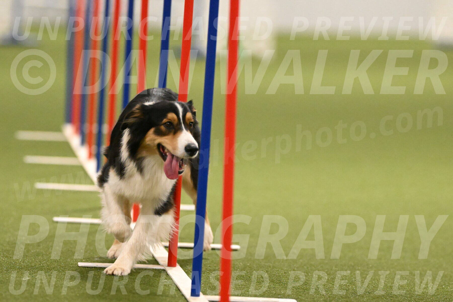 Lovey-Dovey-Yvette-Shipman-06703