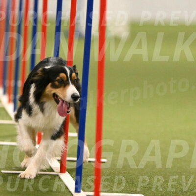 Lovey-Dovey-Yvette-Shipman-06703