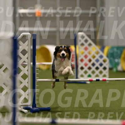 Lovey-Dovey-Yvette-Shipman-06704