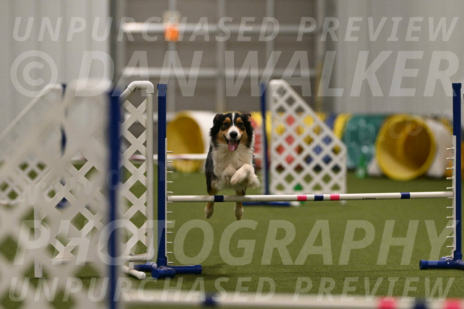 Lovey-Dovey-Yvette-Shipman-06704