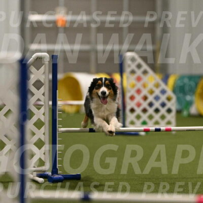 Lovey-Dovey-Yvette-Shipman-06705