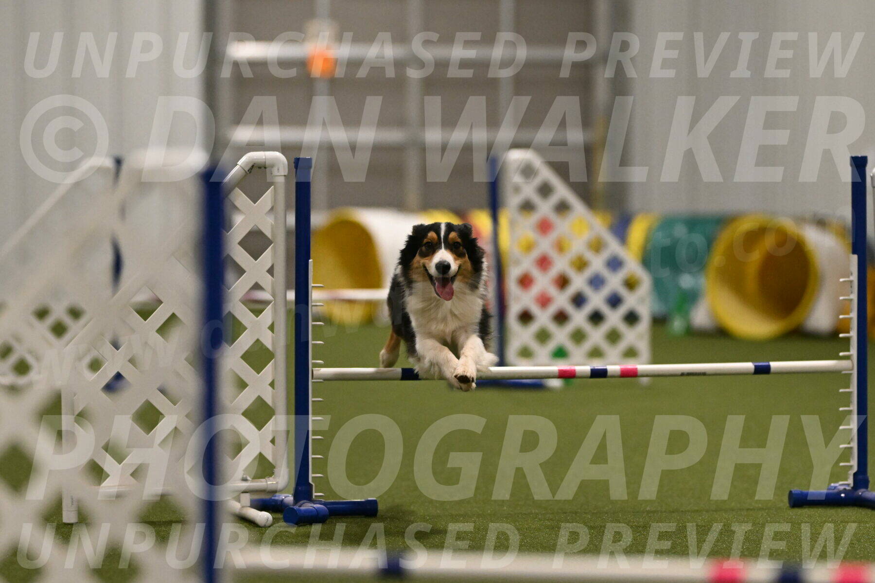 Lovey-Dovey-Yvette-Shipman-06705