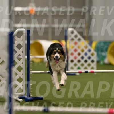 Lovey-Dovey-Yvette-Shipman-06706