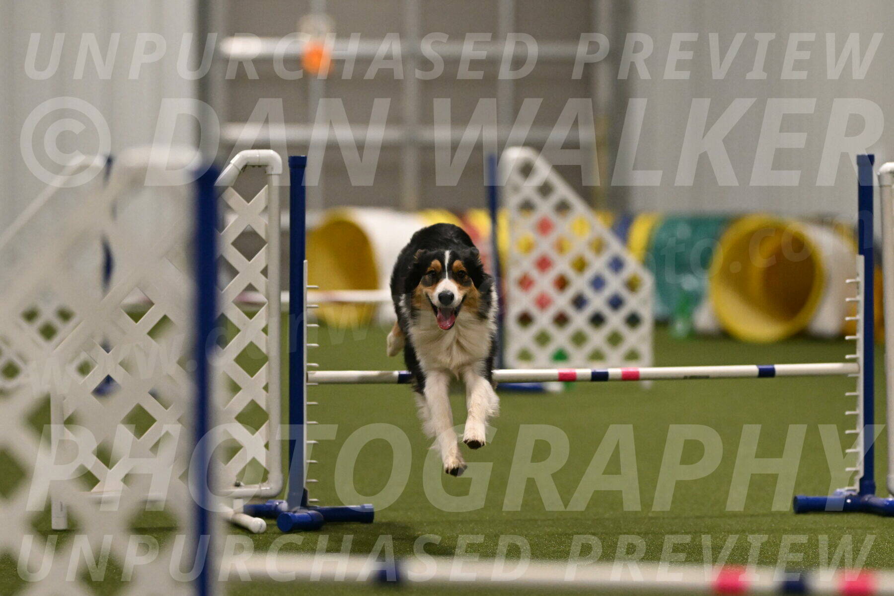 Lovey-Dovey-Yvette-Shipman-06706