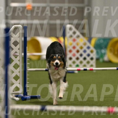 Lovey-Dovey-Yvette-Shipman-06707