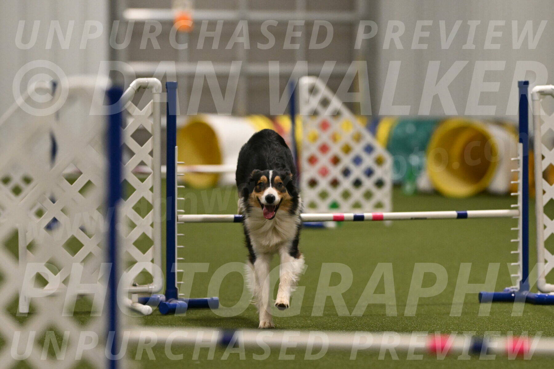 Lovey-Dovey-Yvette-Shipman-06707