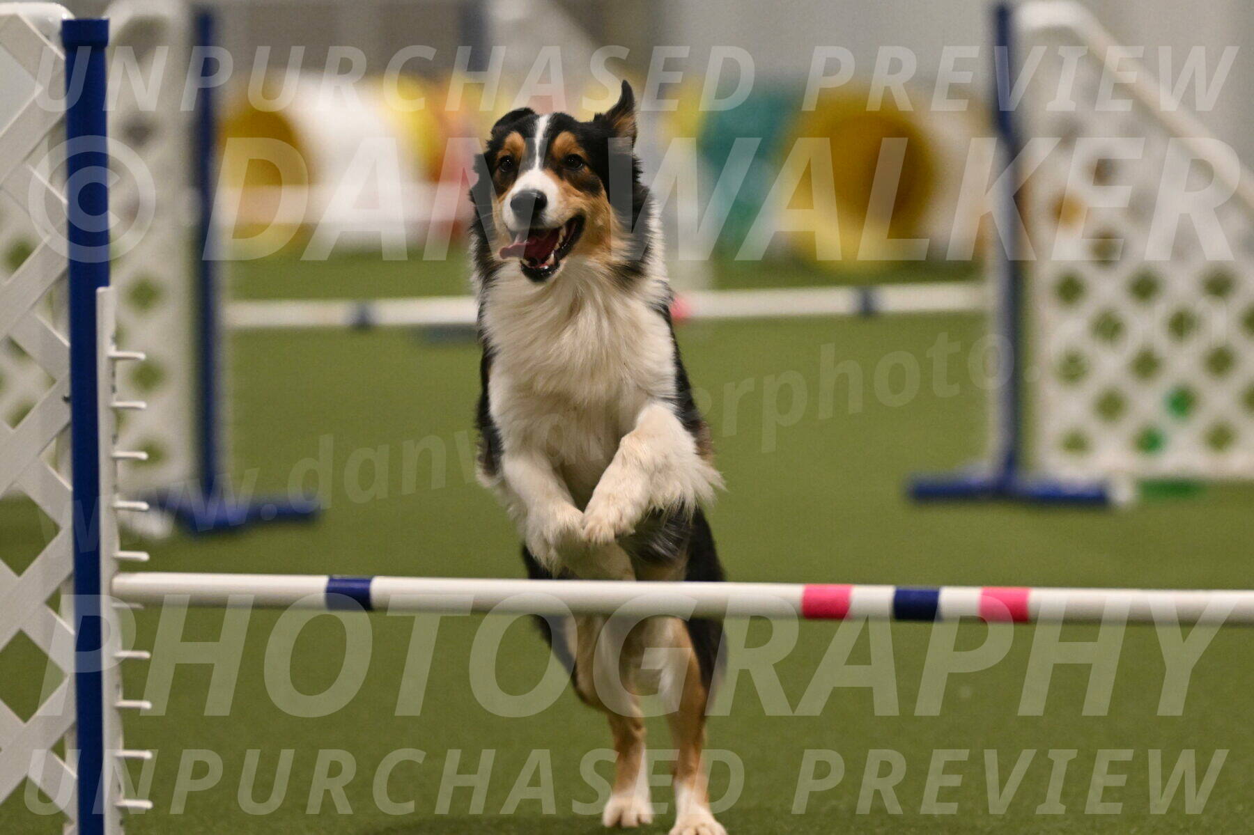 Lovey-Dovey-Yvette-Shipman-06708