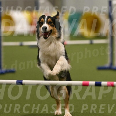 Lovey-Dovey-Yvette-Shipman-06708