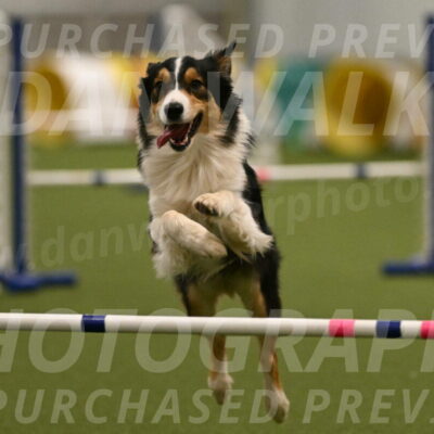 Lovey-Dovey-Yvette-Shipman-06709