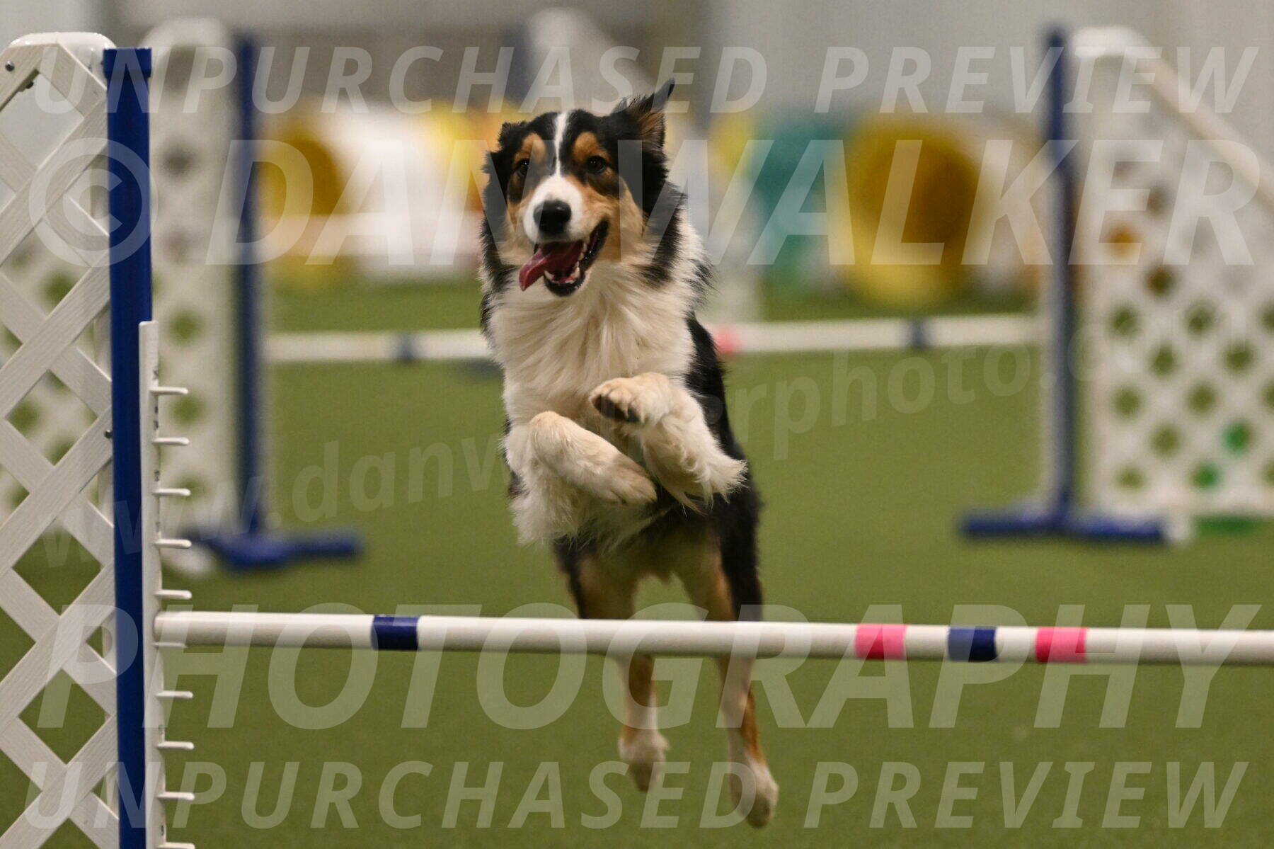 Lovey-Dovey-Yvette-Shipman-06709