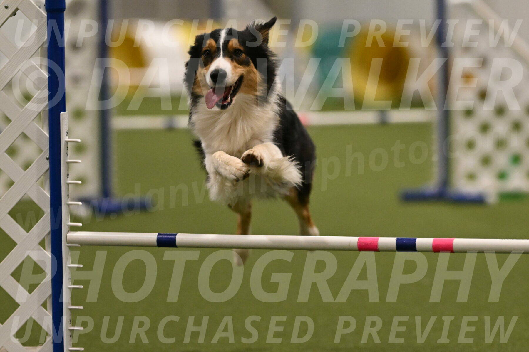 Lovey-Dovey-Yvette-Shipman-06710