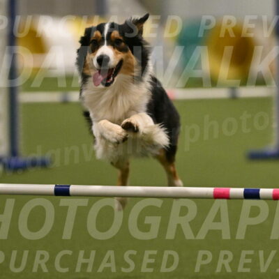 Lovey-Dovey-Yvette-Shipman-06710