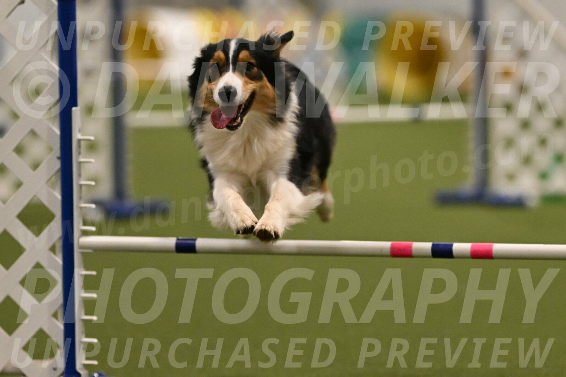 Lovey-Dovey-Yvette-Shipman-06711