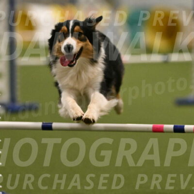 Lovey-Dovey-Yvette-Shipman-06711