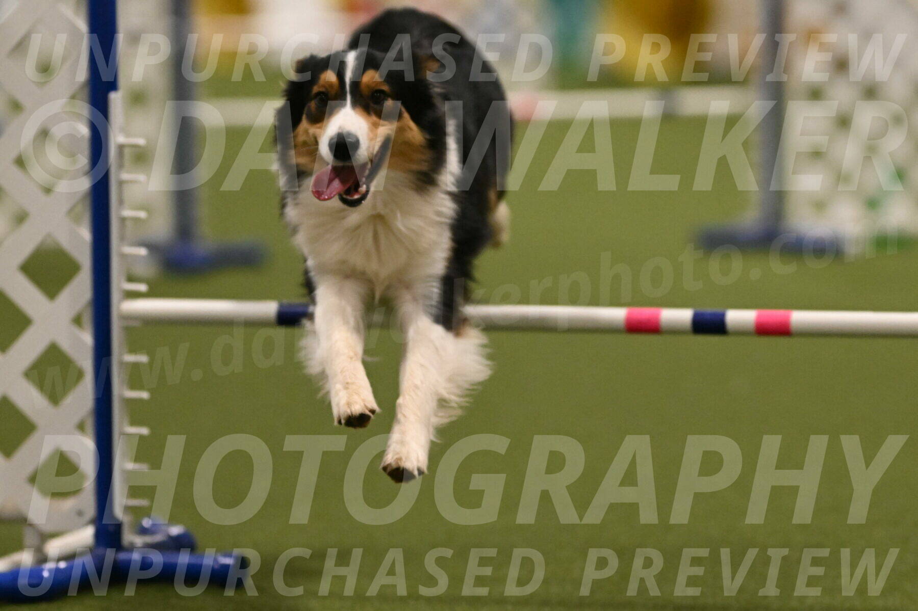 Lovey-Dovey-Yvette-Shipman-06712