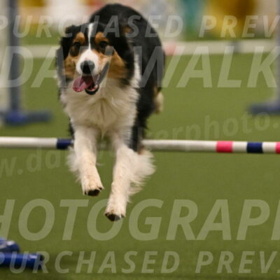 Lovey-Dovey-Yvette-Shipman-06712