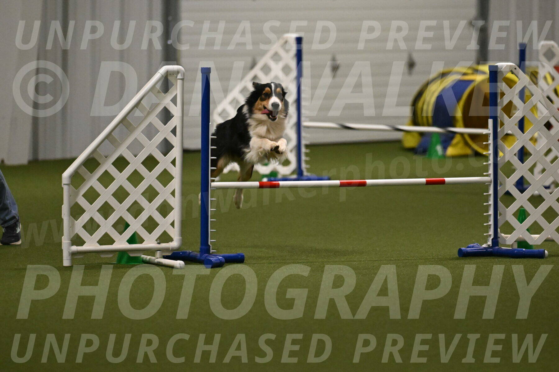 Lovey-Dovey-Yvette-Shipman-06715