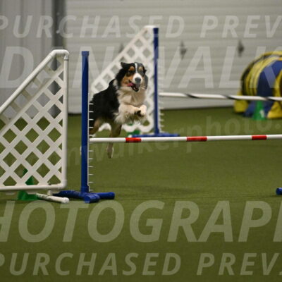 Lovey-Dovey-Yvette-Shipman-06715