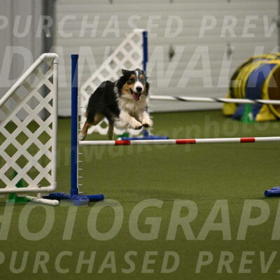 Lovey-Dovey-Yvette-Shipman-06716