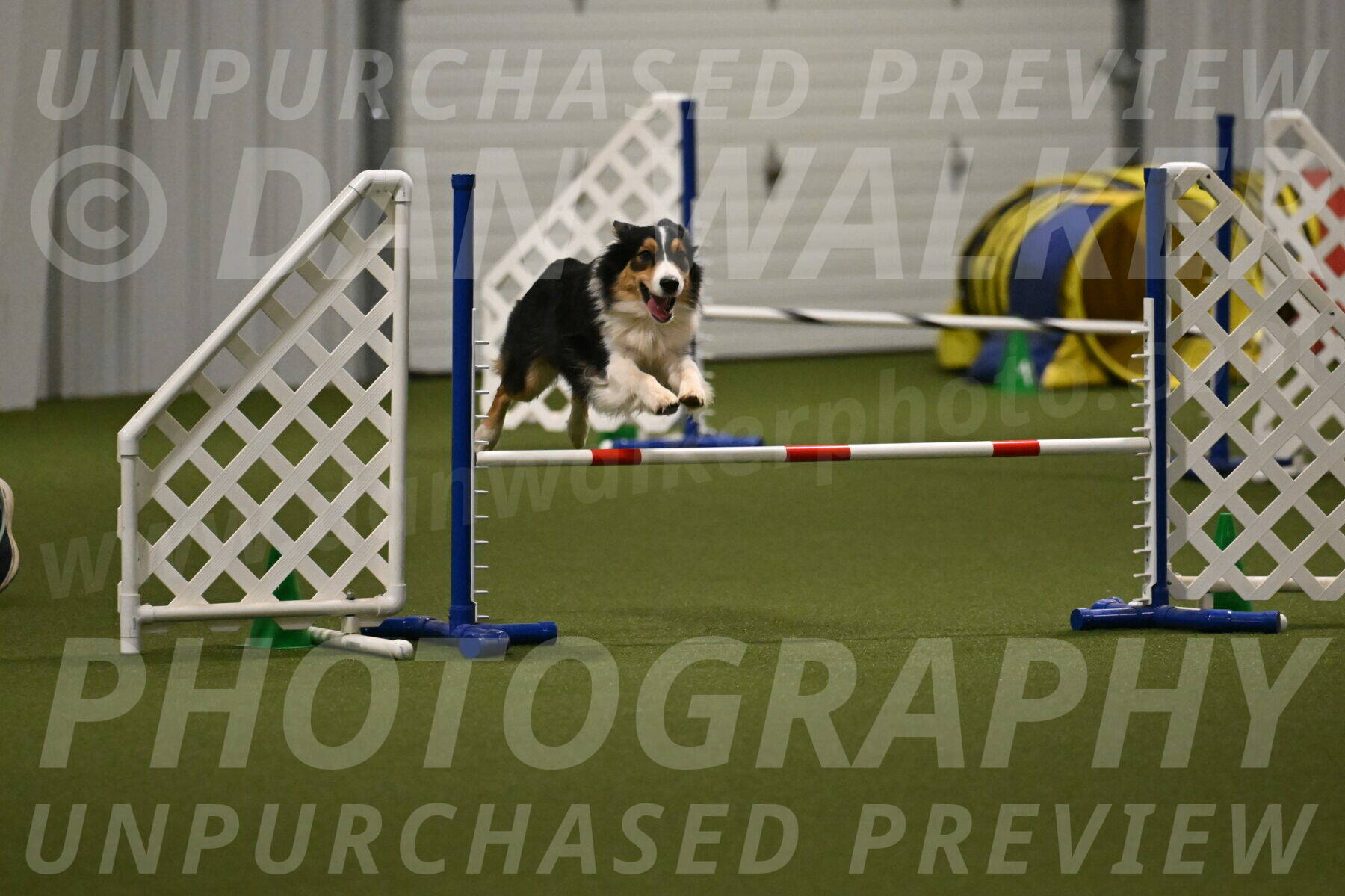 Lovey-Dovey-Yvette-Shipman-06716