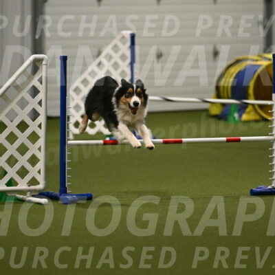 Lovey-Dovey-Yvette-Shipman-06717