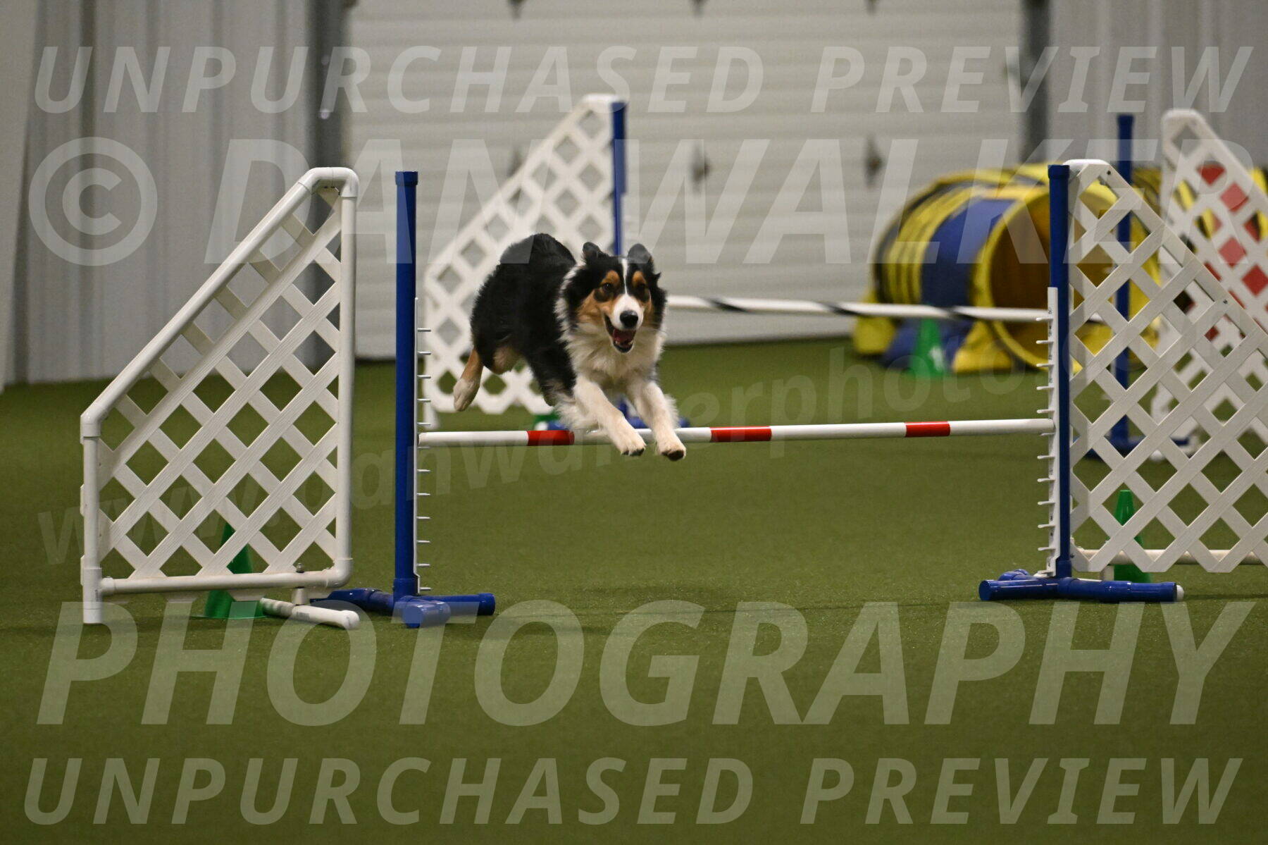 Lovey-Dovey-Yvette-Shipman-06717