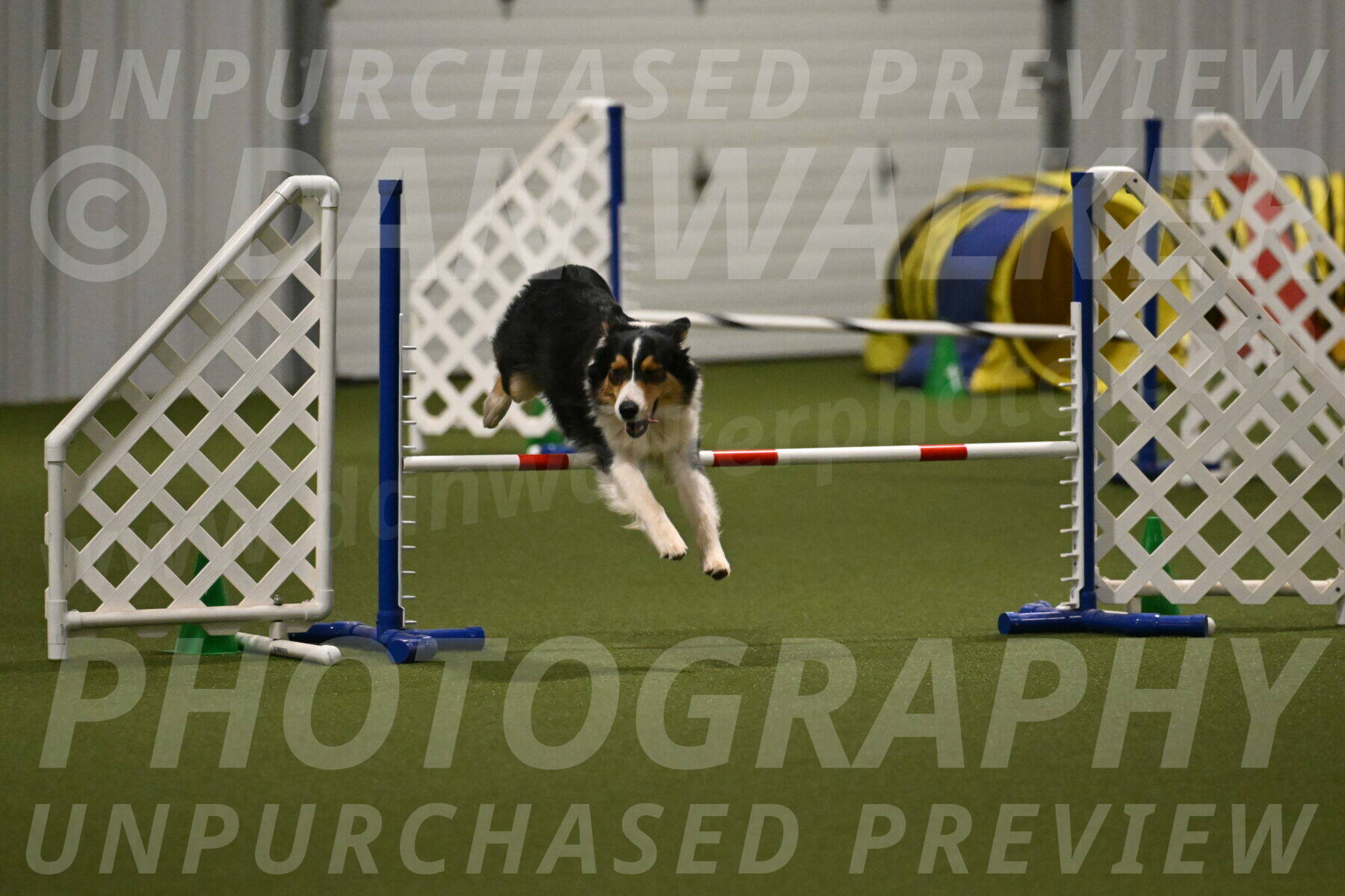 Lovey-Dovey-Yvette-Shipman-06718