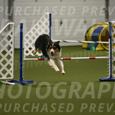 Lovey-Dovey-Yvette-Shipman-06718