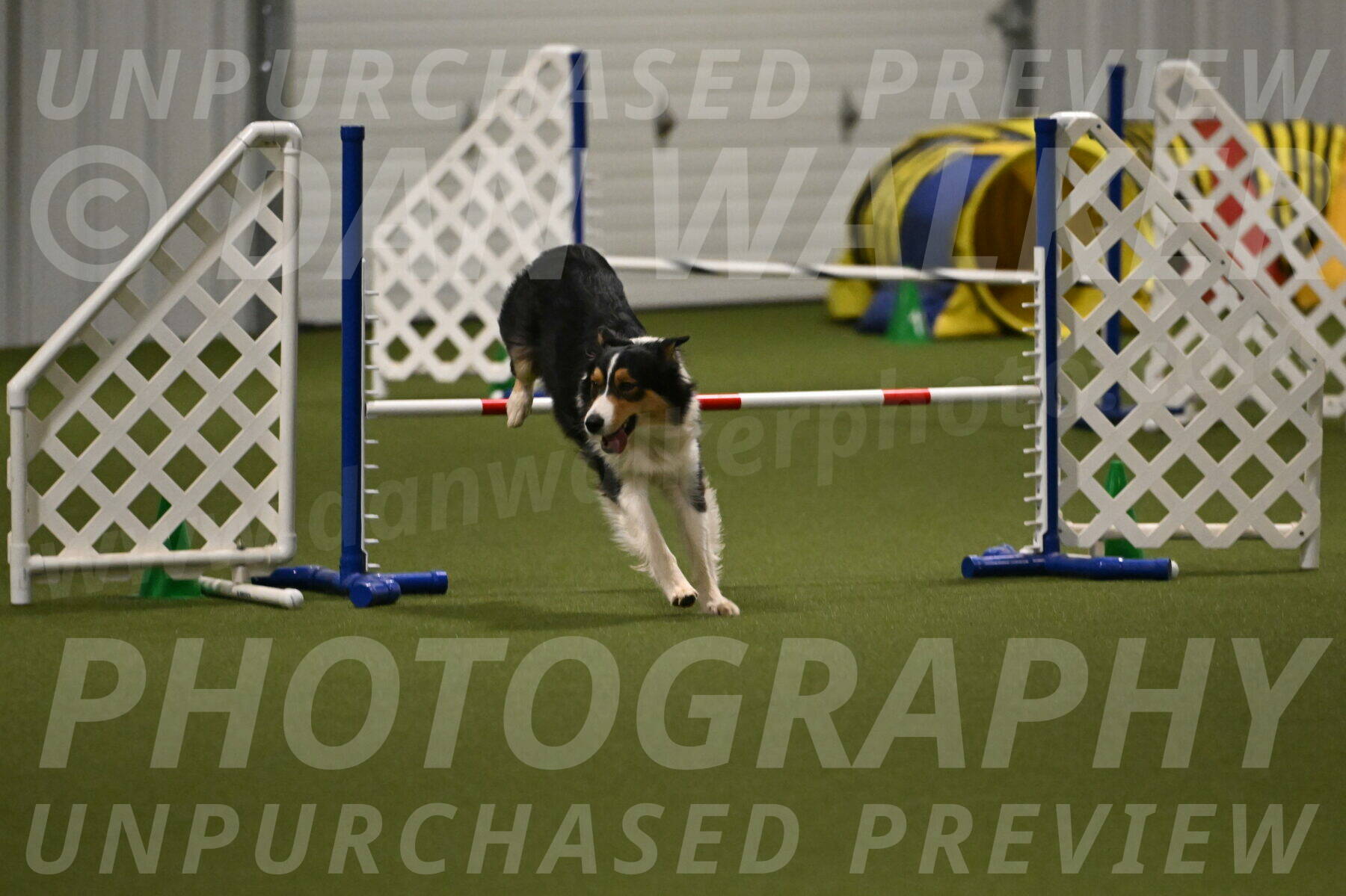 Lovey-Dovey-Yvette-Shipman-06719