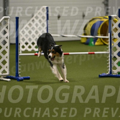 Lovey-Dovey-Yvette-Shipman-06719