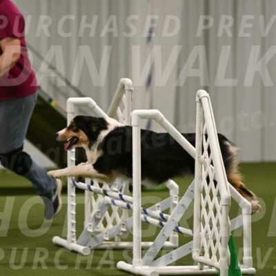 Lovey-Dovey-Yvette-Shipman-06721