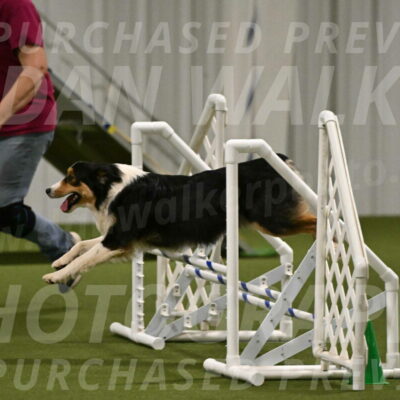 Lovey-Dovey-Yvette-Shipman-06722