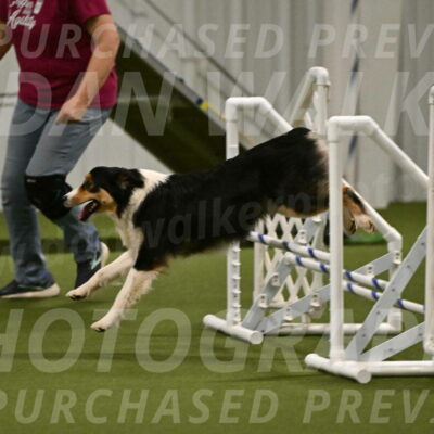 Lovey-Dovey-Yvette-Shipman-06723