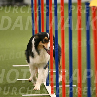 Lovey-Dovey-Yvette-Shipman-06724