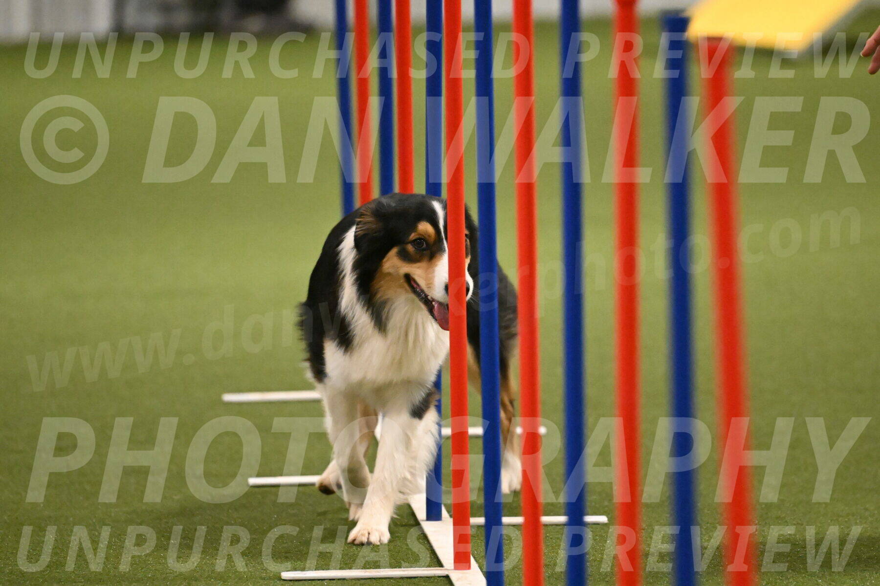 Lovey-Dovey-Yvette-Shipman-06724