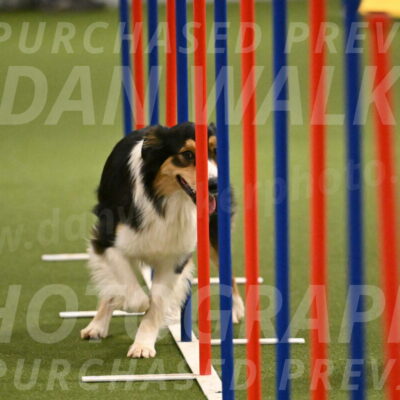 Lovey-Dovey-Yvette-Shipman-06725