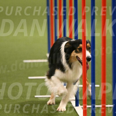 Lovey-Dovey-Yvette-Shipman-06726