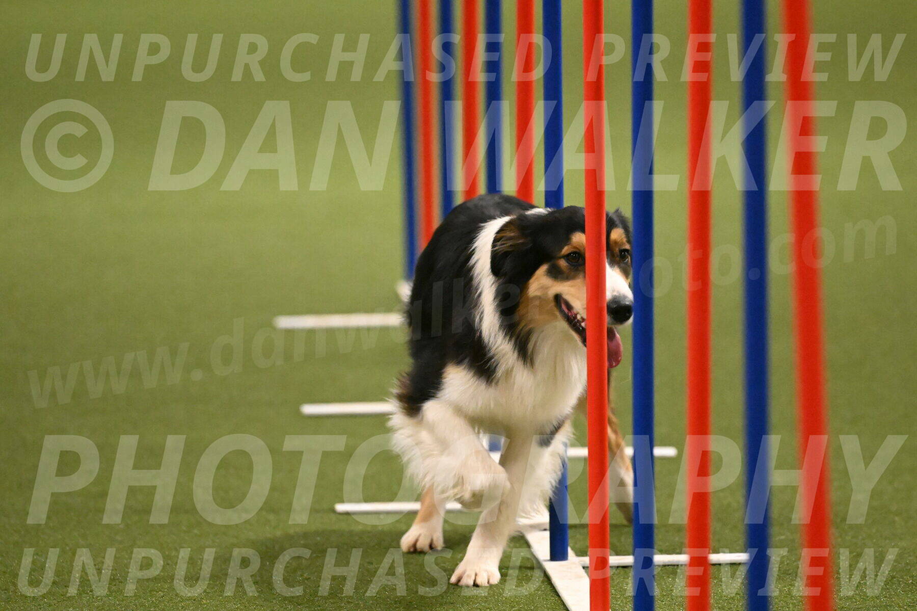 Lovey-Dovey-Yvette-Shipman-06726