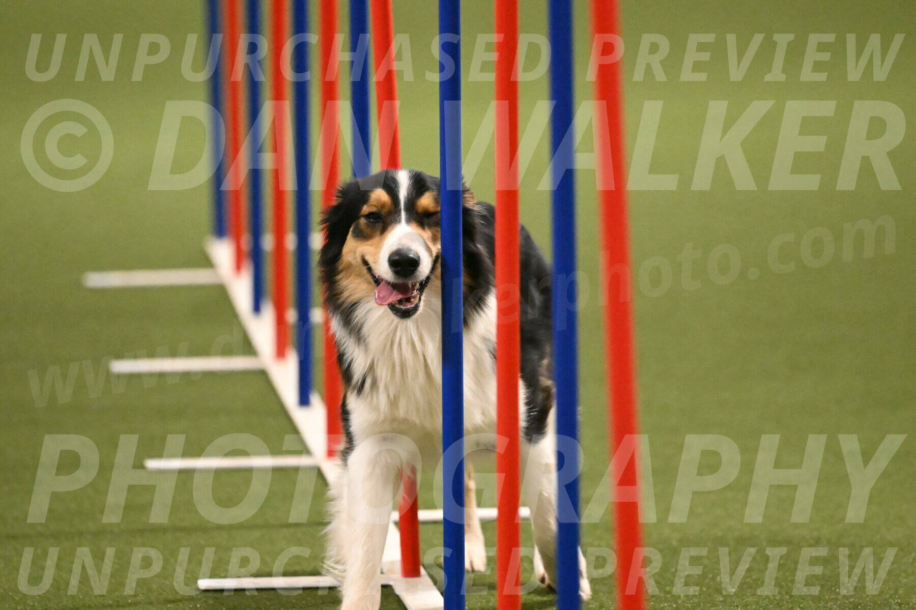 Lovey-Dovey-Yvette-Shipman-06727