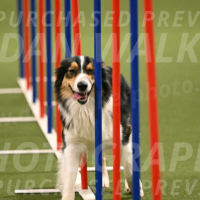 Lovey-Dovey-Yvette-Shipman-06727