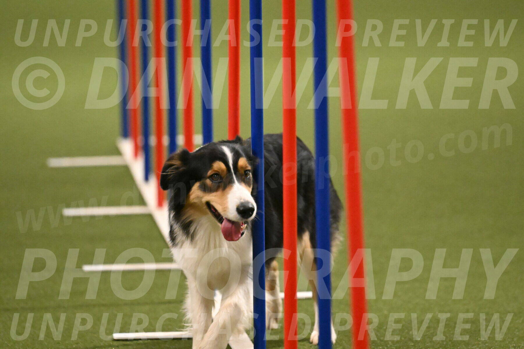 Lovey-Dovey-Yvette-Shipman-06728