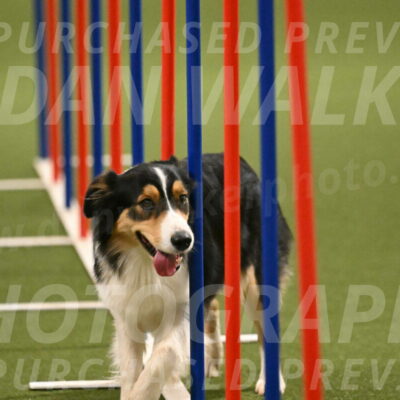 Lovey-Dovey-Yvette-Shipman-06728