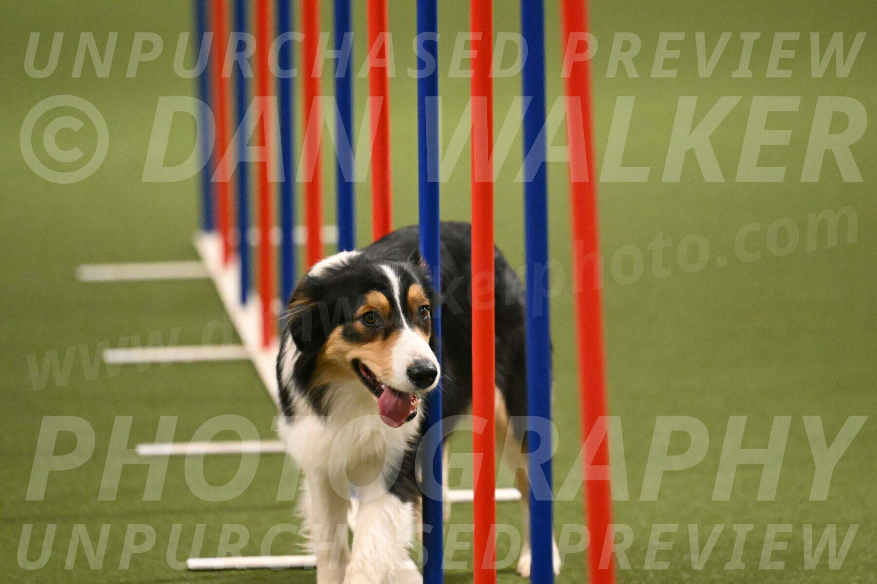 Lovey-Dovey-Yvette-Shipman-06729