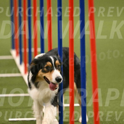 Lovey-Dovey-Yvette-Shipman-06729