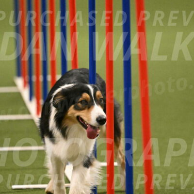 Lovey-Dovey-Yvette-Shipman-06730